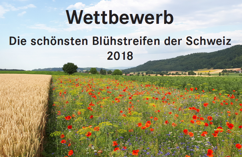 Bl hstreifen de