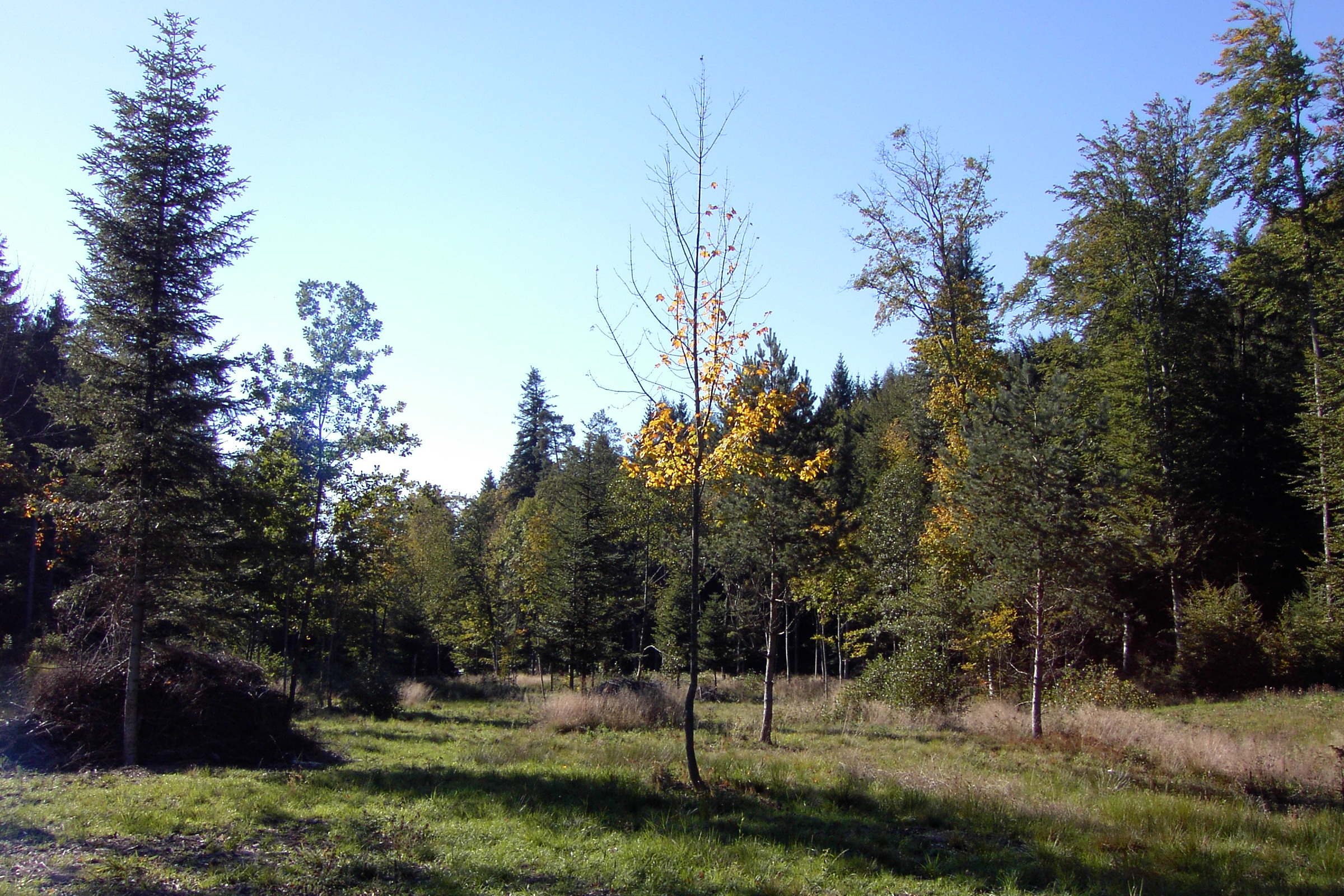 Hinterguldenensept02